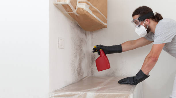 Professional Mold Cleanup technician working in Salem, NC