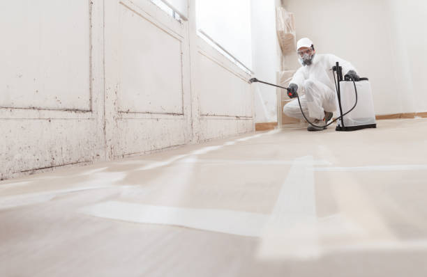 24/7 Emergency Mold Cleanup experts in Salem, NC
