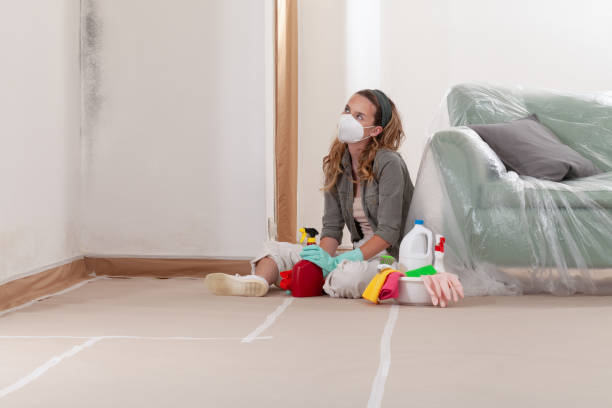 Reliable Mold Cleanup contractor in Salem, NC by WQB Mold Removal