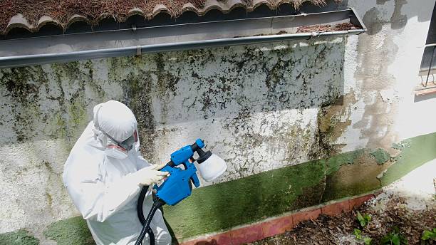 Top rated local Mold Cleanup specialists in Salem, NC